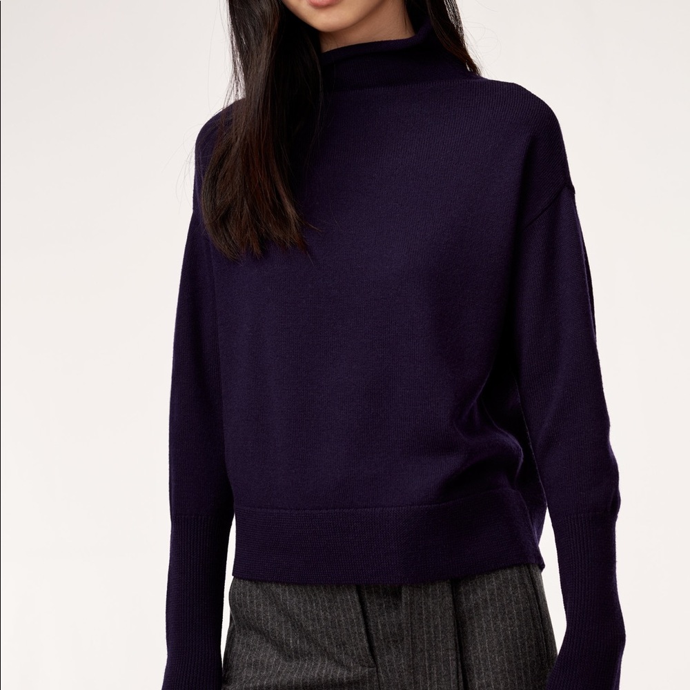 Aritzia Cyprie Sweater